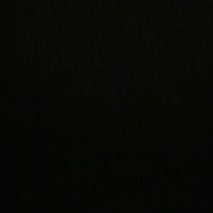 Meet your Posher, Vinny